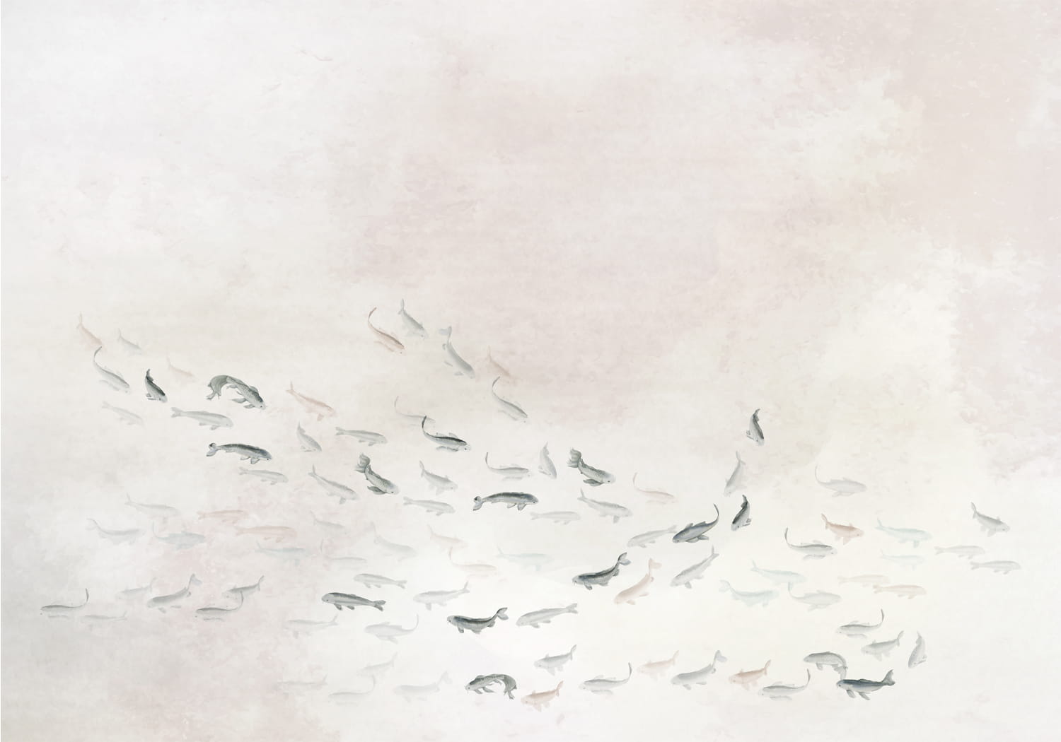Wandbild Koi - Light