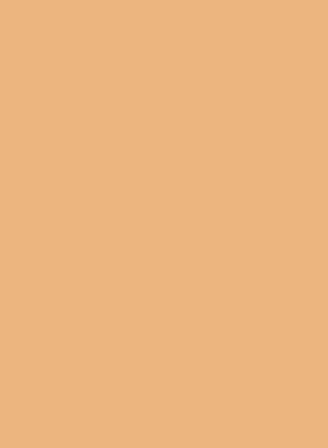 Intelligent All Surface Primer - Conche 20