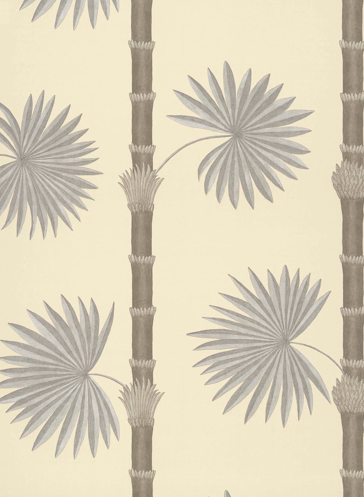 Tapete Hardy Palm - Canvas 3