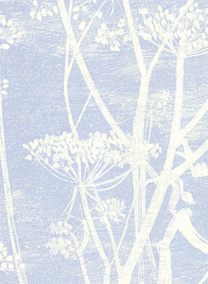 Tapete Cow Parsley - Buttercup/ Powder Blue