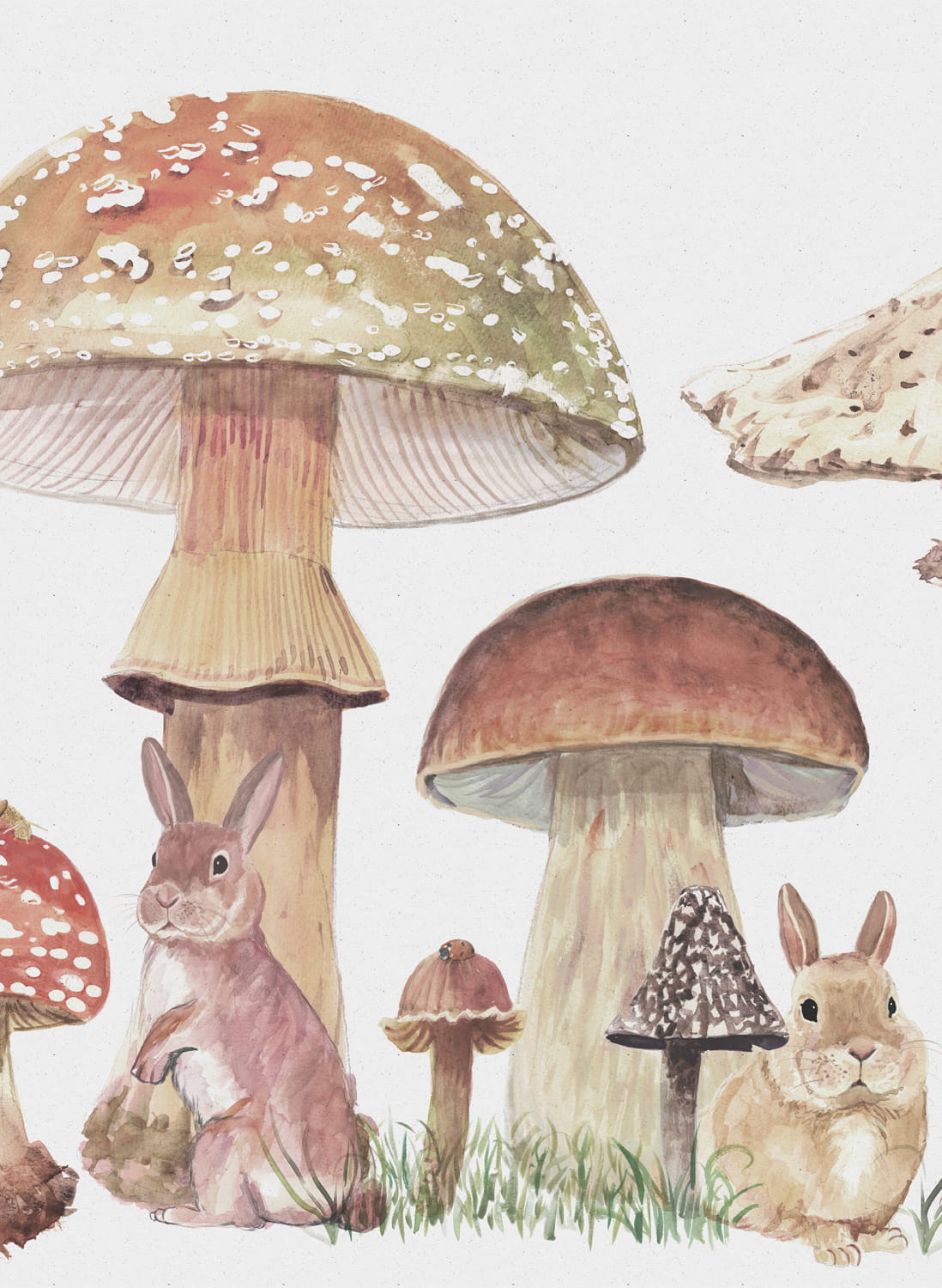 Wandbild Sweet Forest - Peach