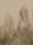 14846_3_Jannelli_and_Volpi_Boko_40043-131465
