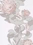 4705_3_paintandpaper_tresco_protea_trail_salt_0393ptsaltz-58271