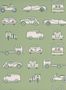 17087_02_Little_Greene_Road_Trip_0231RTPEAGR-148759
