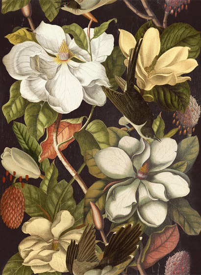 Tapete Magnolia - WP20171