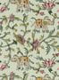 16502_04_Clarke_and_Clarke_Hathi_W0236-04-171113