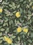 14791_1_BorasTapeter_Citronträd_5701-126457