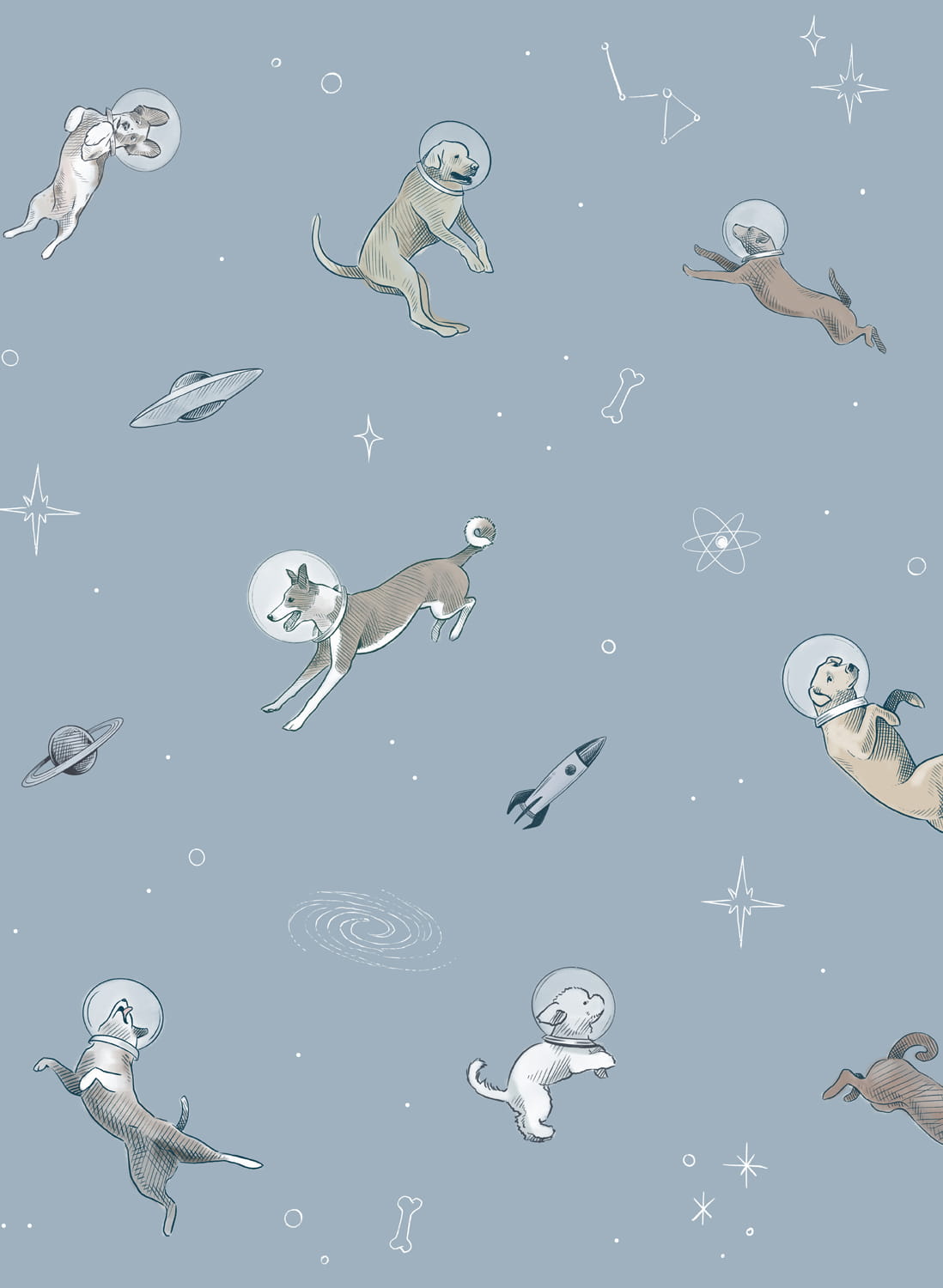 Wandbild Doggy Gravity - Sky
