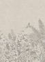 17104_02_Omexco_BOP7_Barrabands_Garden_BOP702-165142