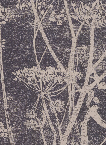Tapete Cow Parsley - Linen/ Charcoal