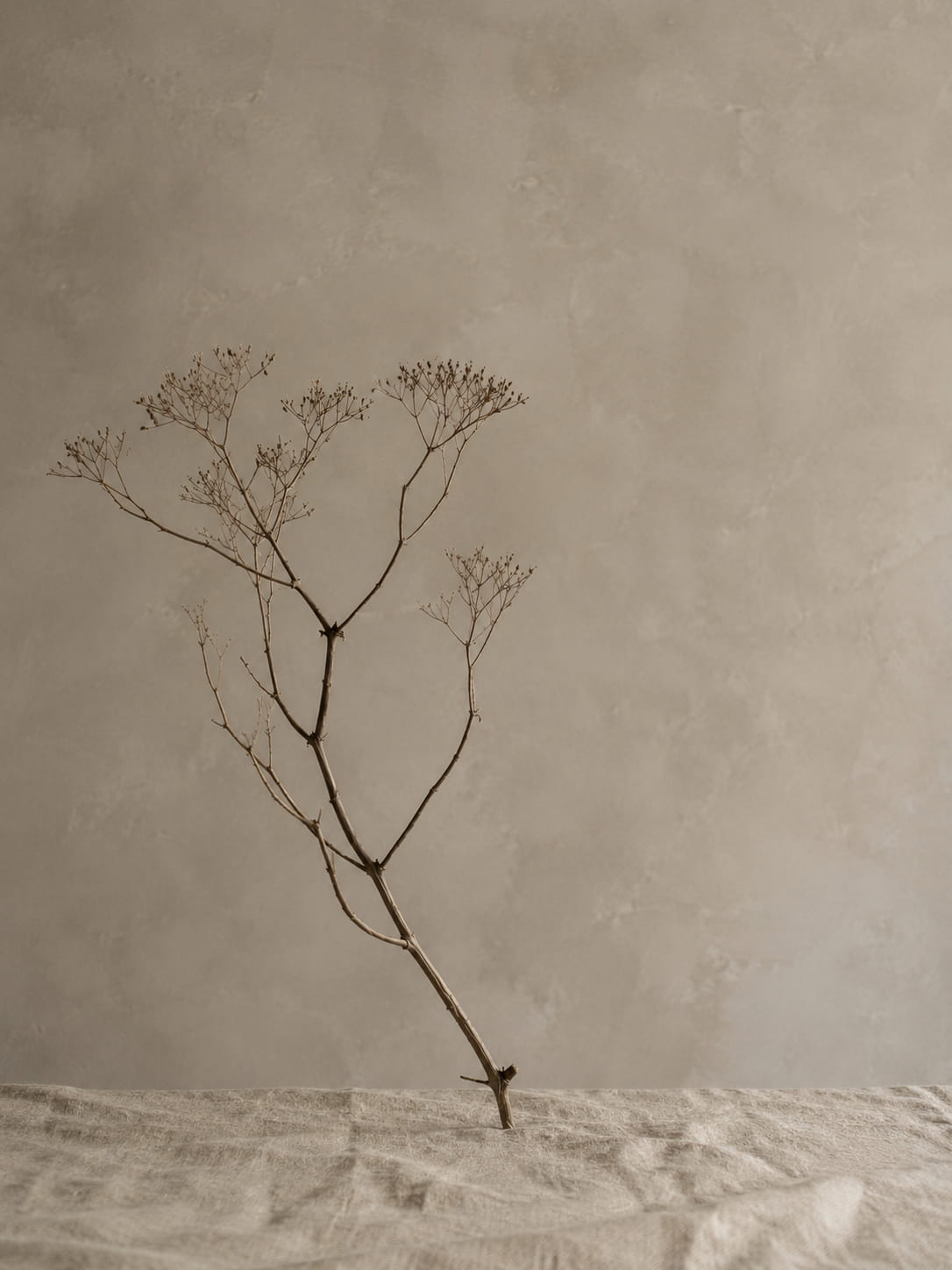 Little-Greene-Limewash-01