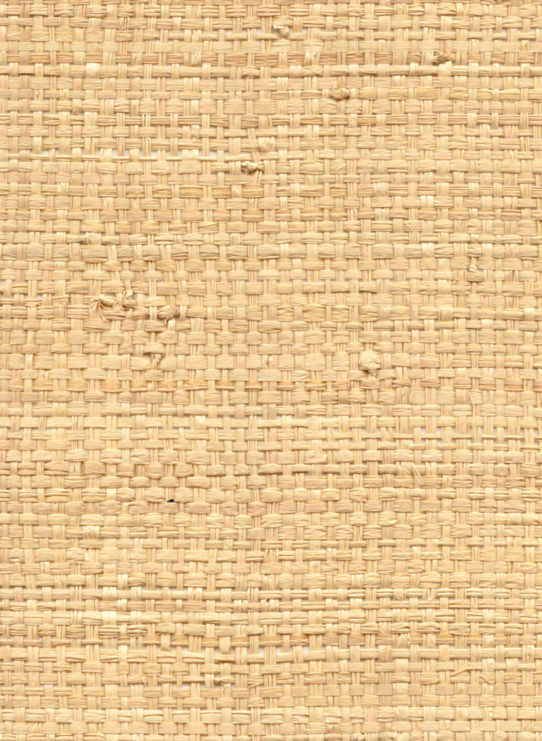 Tapete Raphia Pur - Sauvage Miel
