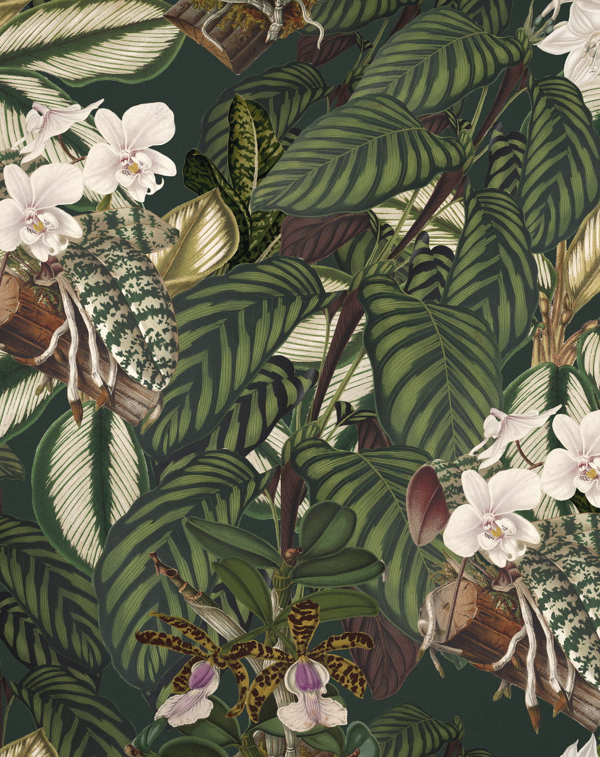 Fabric Orchid Bloom - Linen - FB00032