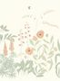 16259_1_Sandberg_Aino_S10481-141476