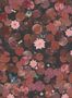 19151_04_Little_Greene_Lily_Pads_0234LPADVEN-195382