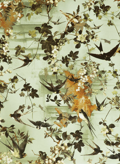 Tapete Hirondelles - Automne