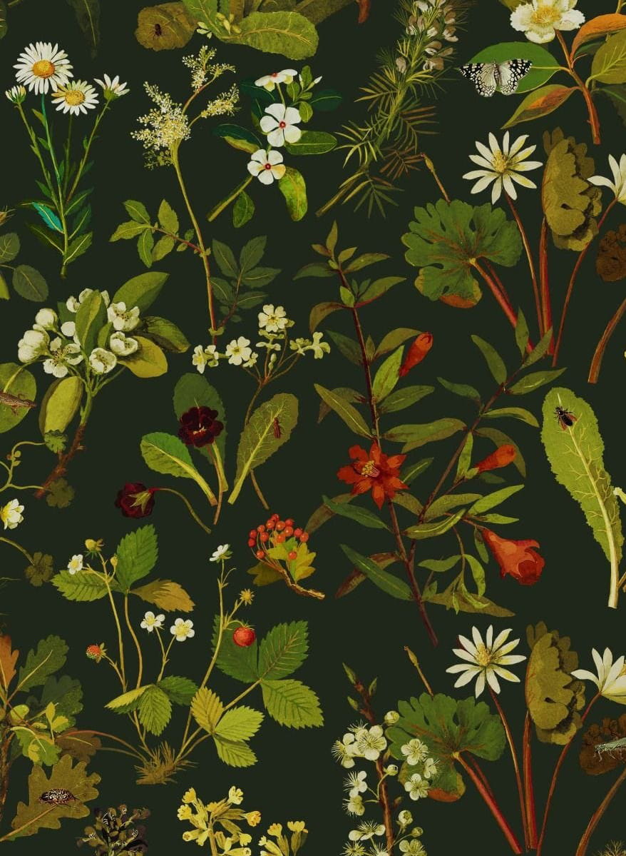 Carta da parati Herbarium