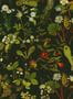 7457_1_House-of-Hackney-Tapete-Herbarium-1-WA-HER-DI-MID-XXX-004-78104