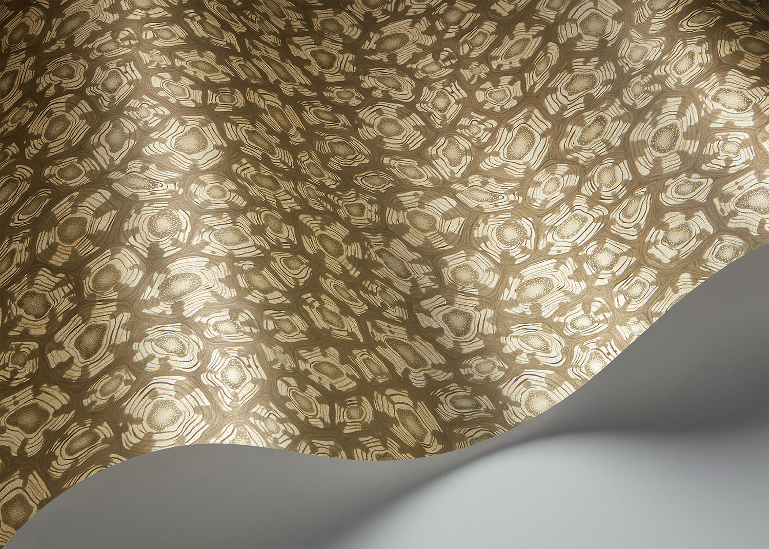 Tapete Savanna Shell - 119/4020