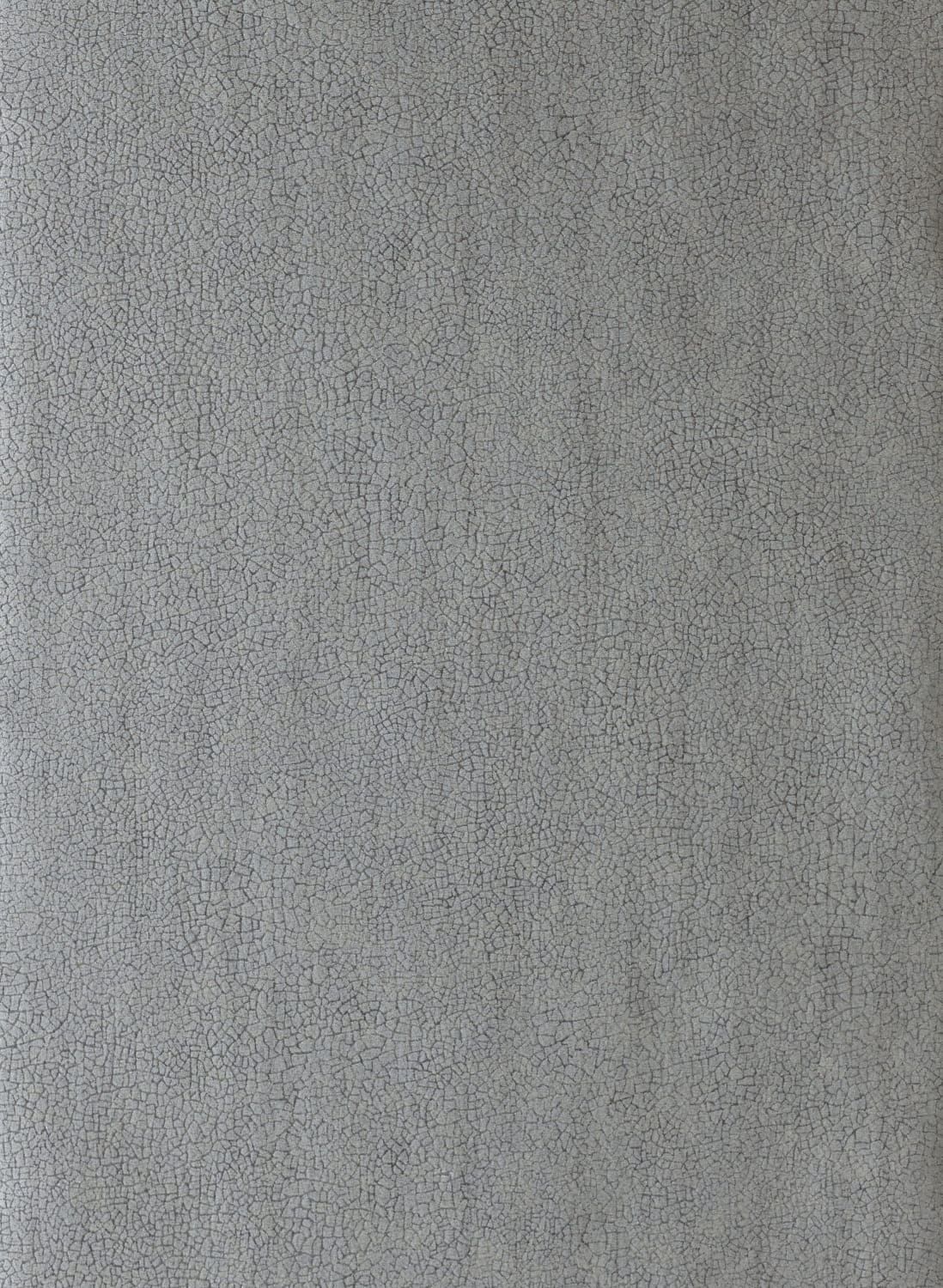Tapete Igneous - Titanium