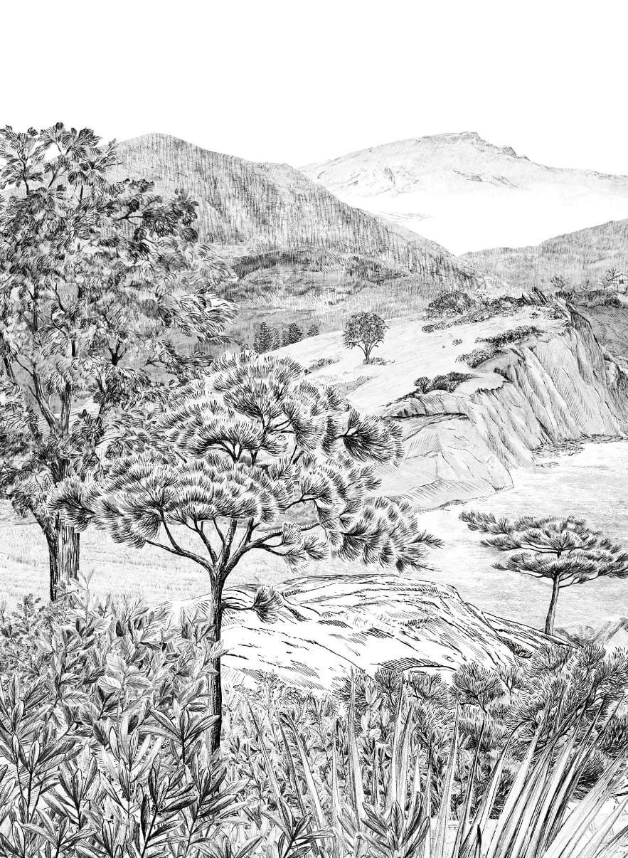 Papier peint Euskadi - Grisaille Panel B
