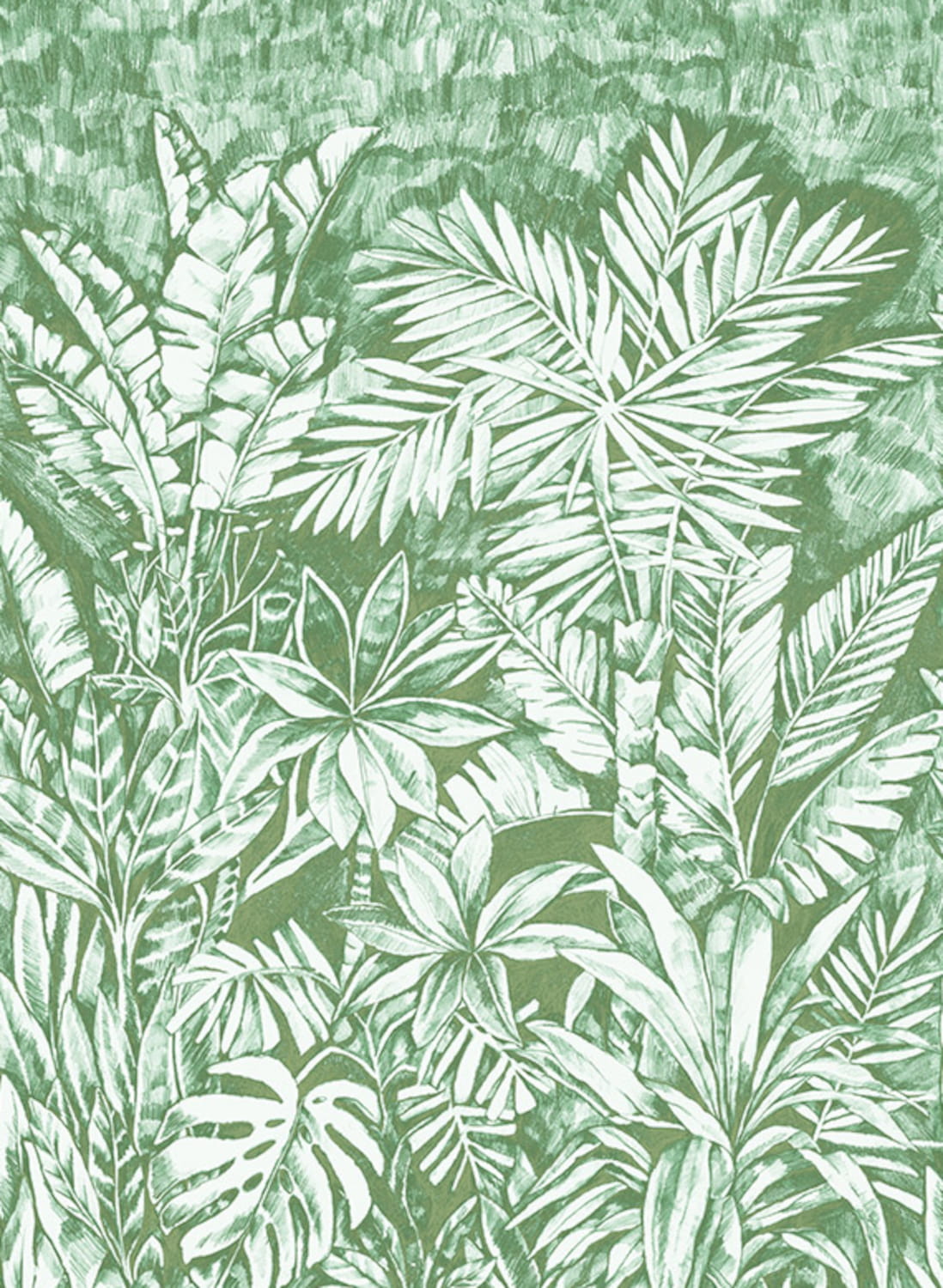 Wandbild Daintree - 41360