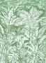 17591_03_Jannelli_and_Volpi_Daintree_41360-154747
