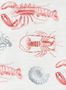 3160_1_mindthegap_lobster_wp20012-28578