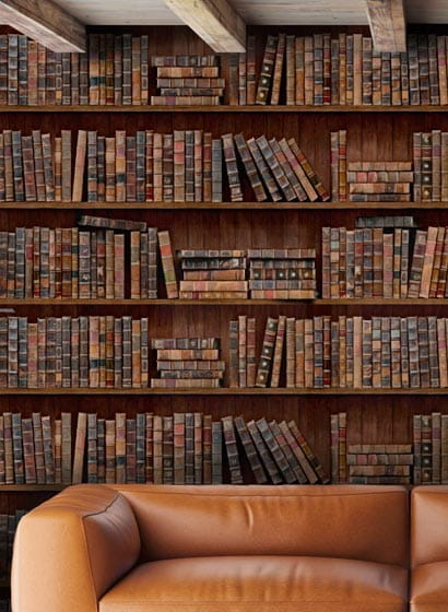 Tapete Book Shelves