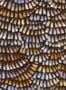 9409_2_Moooi_for_Arte_Dandelion-Cranes_MO4021-91513