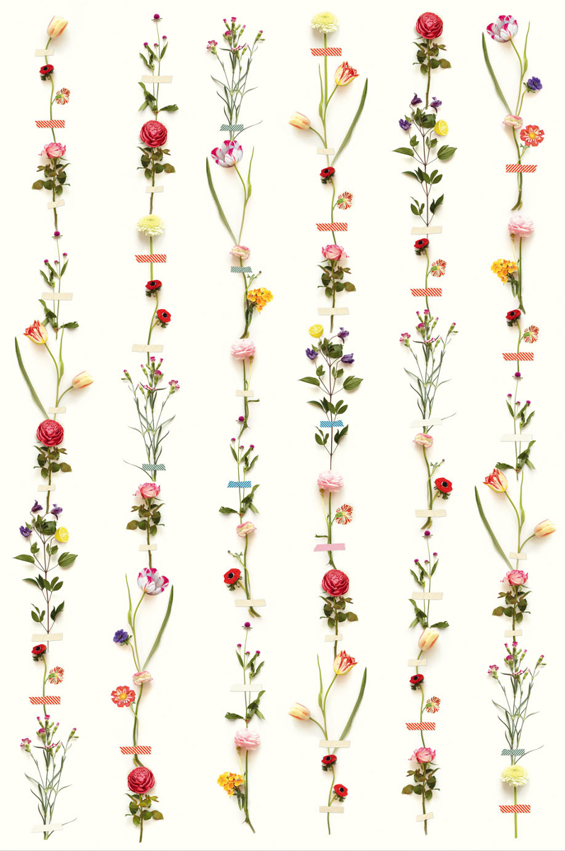 Tapete Flower Garland - Multicolor