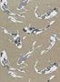 7716_1_Harlequin_Koi_110900-101270