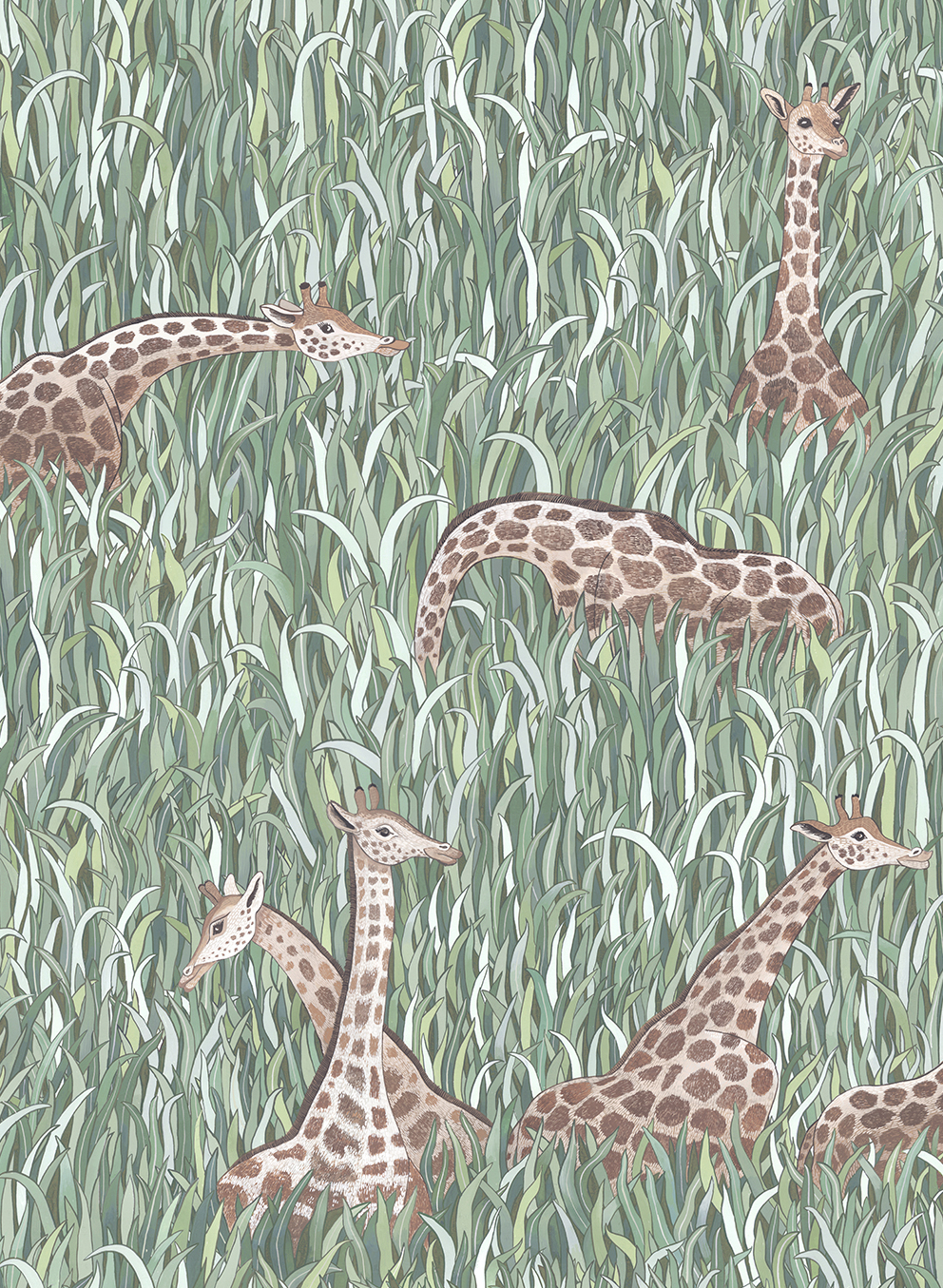 Papier peint Giraffes - Aqua