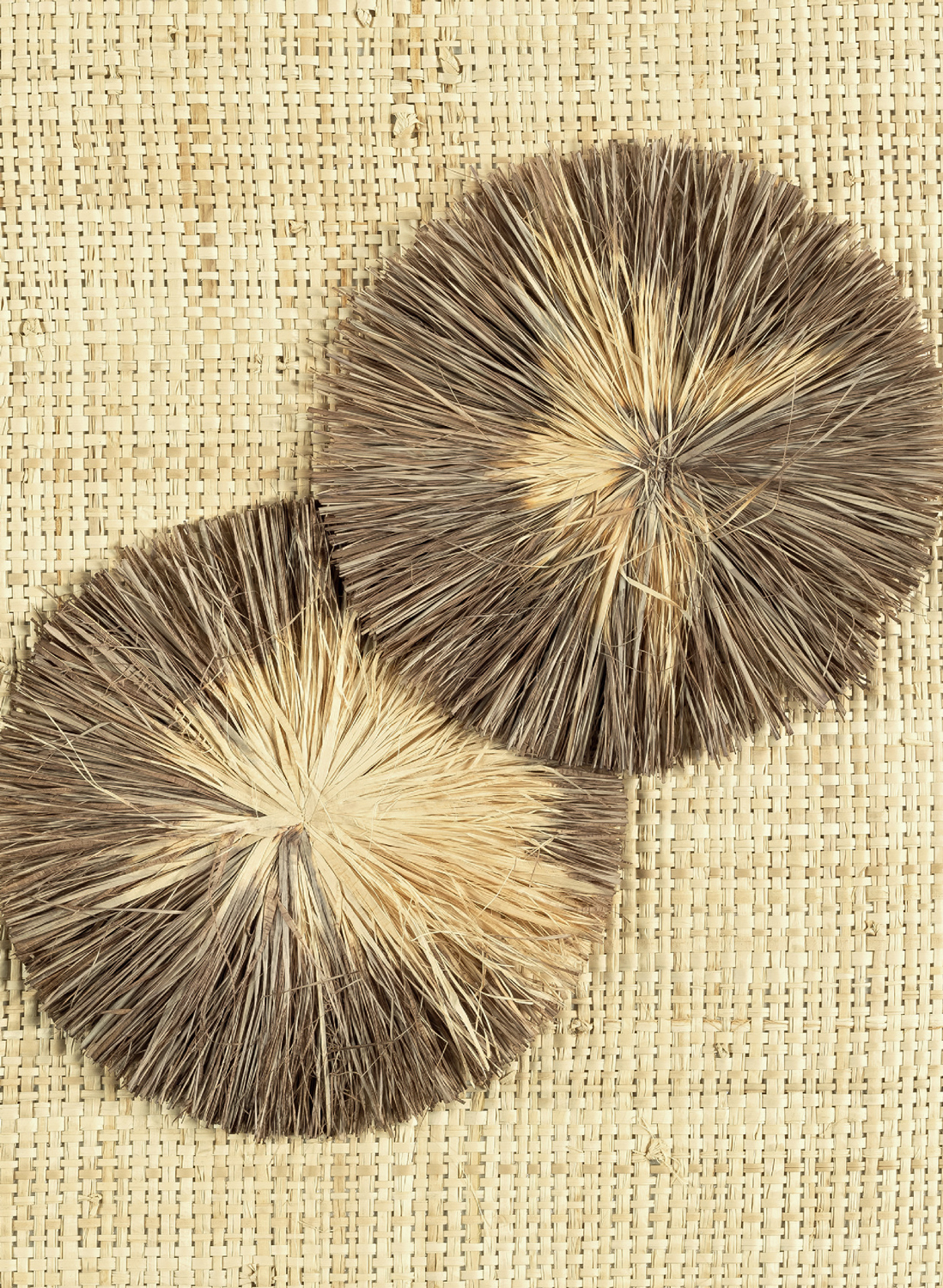 Tapete Raphia Lotus - Terre