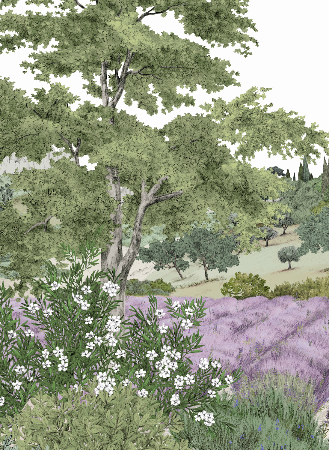Wandbild Provence - Été Panel A