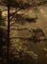 19056_01_Boråstapeter_Marie_Mattsson_Getryggen_9773W-181083
