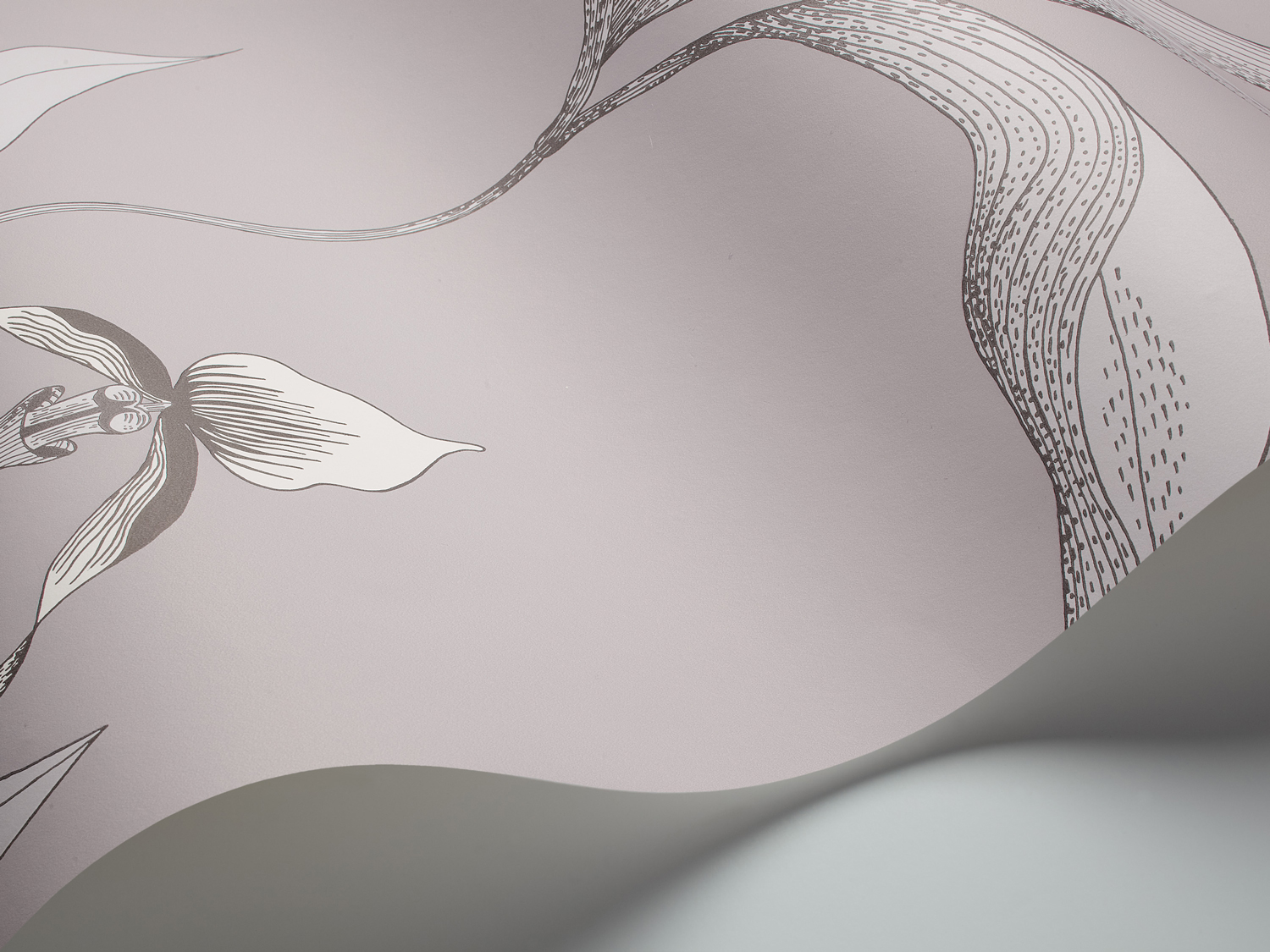 Tapete Orchid - Grey on White