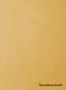 Terrastone-Earth-90-Sunny-Sunset-colour-sample-named-190543