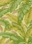 16298_01_Jannelli_&_Volpi_Banane_Raphia_7228-148240