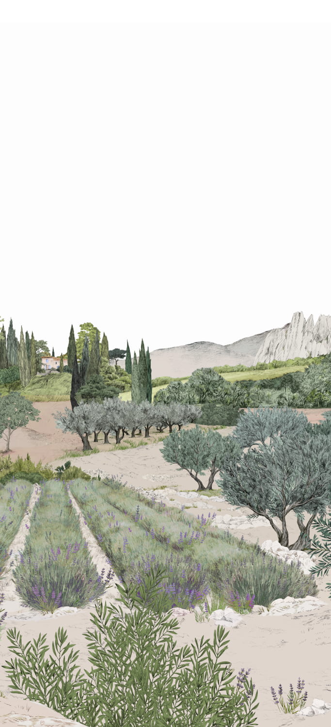 Wandbild Provence - Printemps Panel B