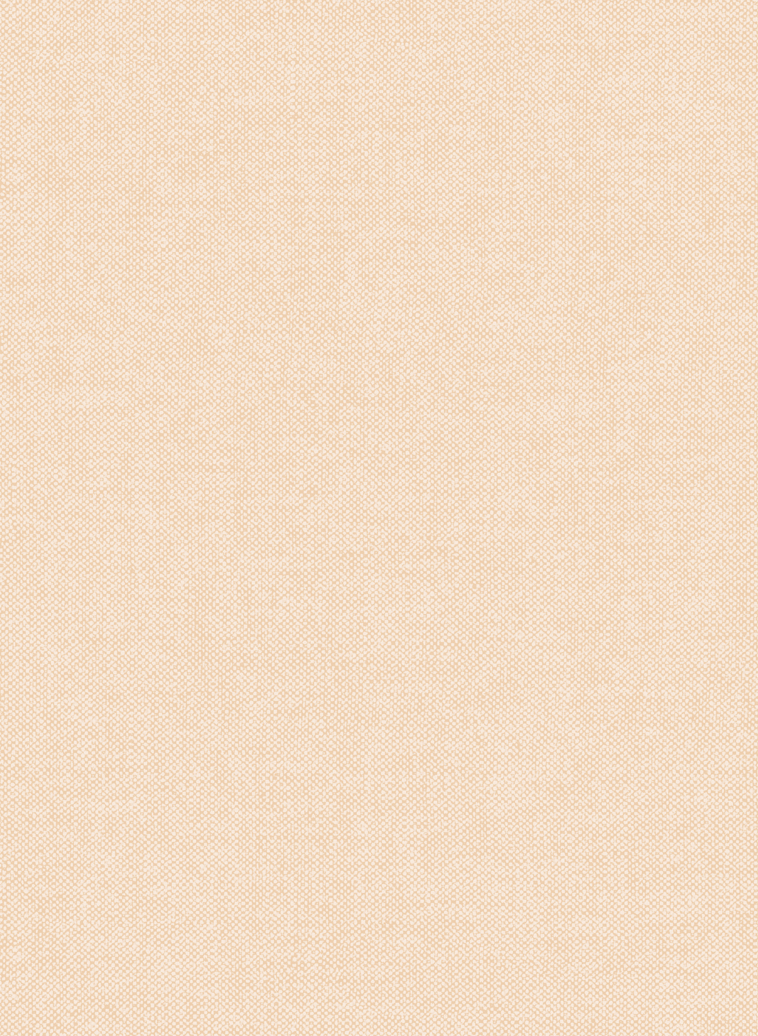Tapete Lin - Jute