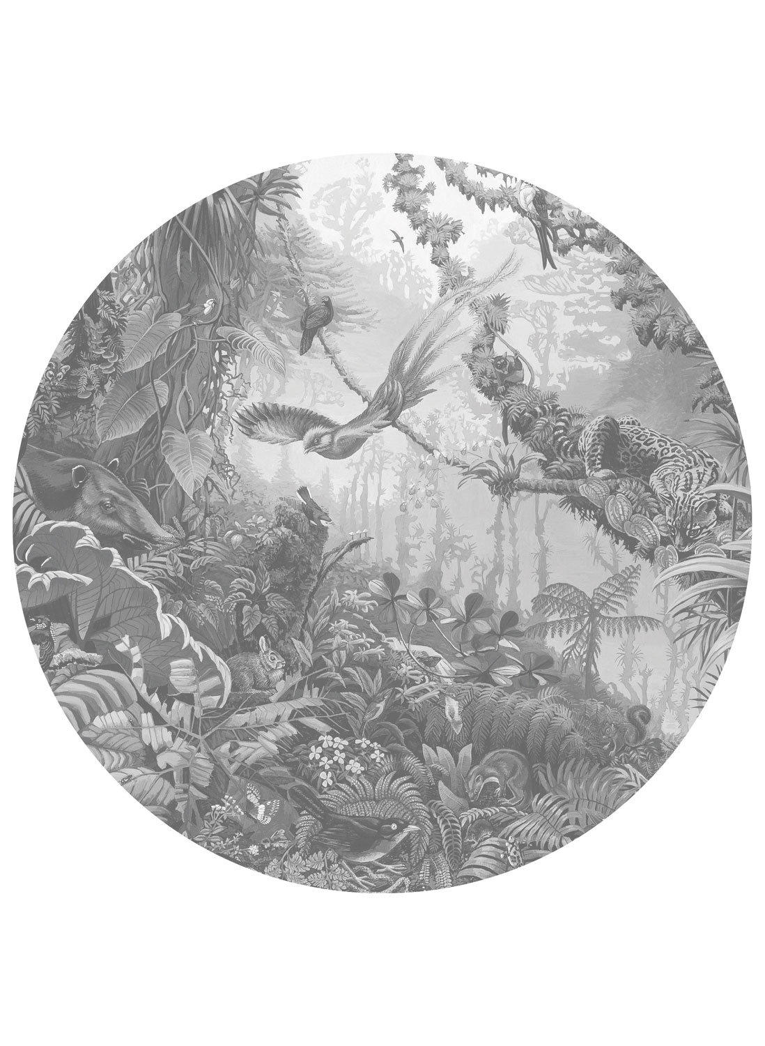 Wandbild Tropical Landscapes 2 Circle - L - 2.375m