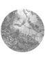 6080_3_KEK_Amsterdam_Tropical_Landscapes_2_Circle_L_BC-081-73915