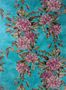 2967_1_osborne_little_rhodora_w7022-01-27632