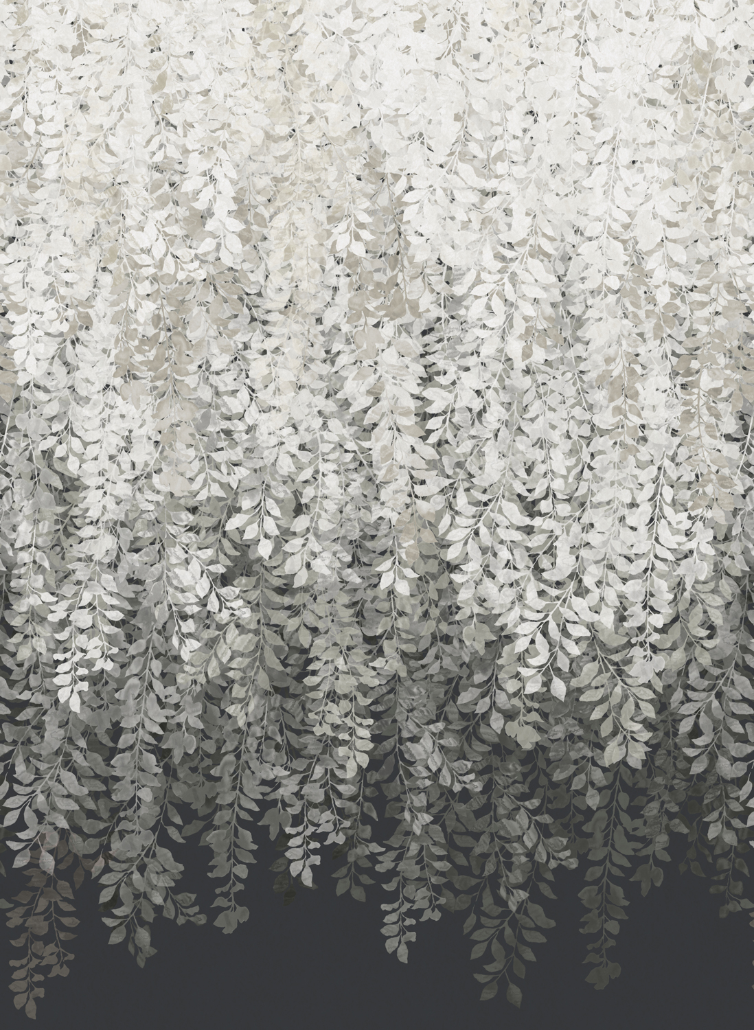 Tapete Tyndall - Vine Black