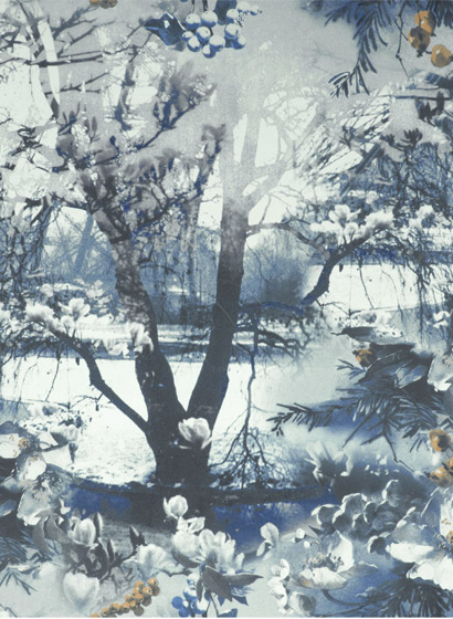 Tapete Brume - Encre