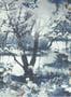 2991_2_jean-paul-gaultier_brume_3307-03-27740