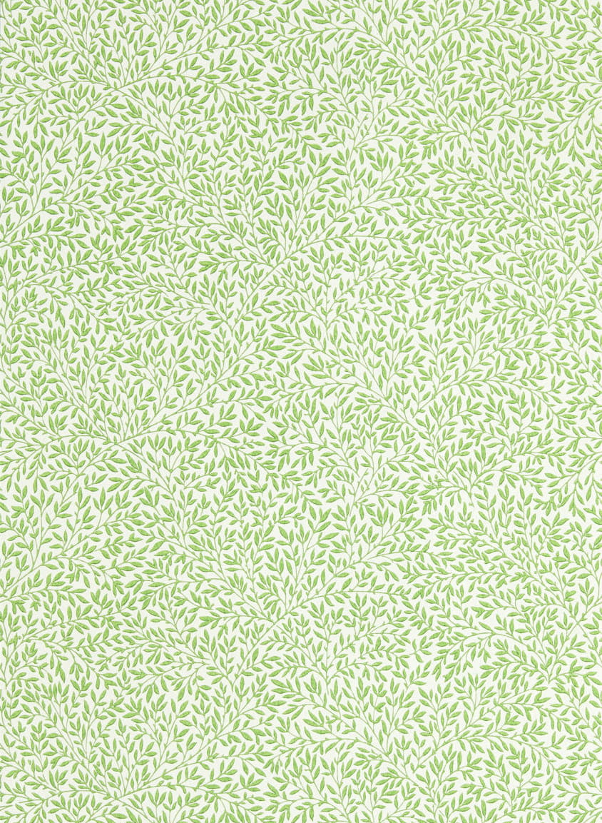 Tapete Standen - Leaf Green