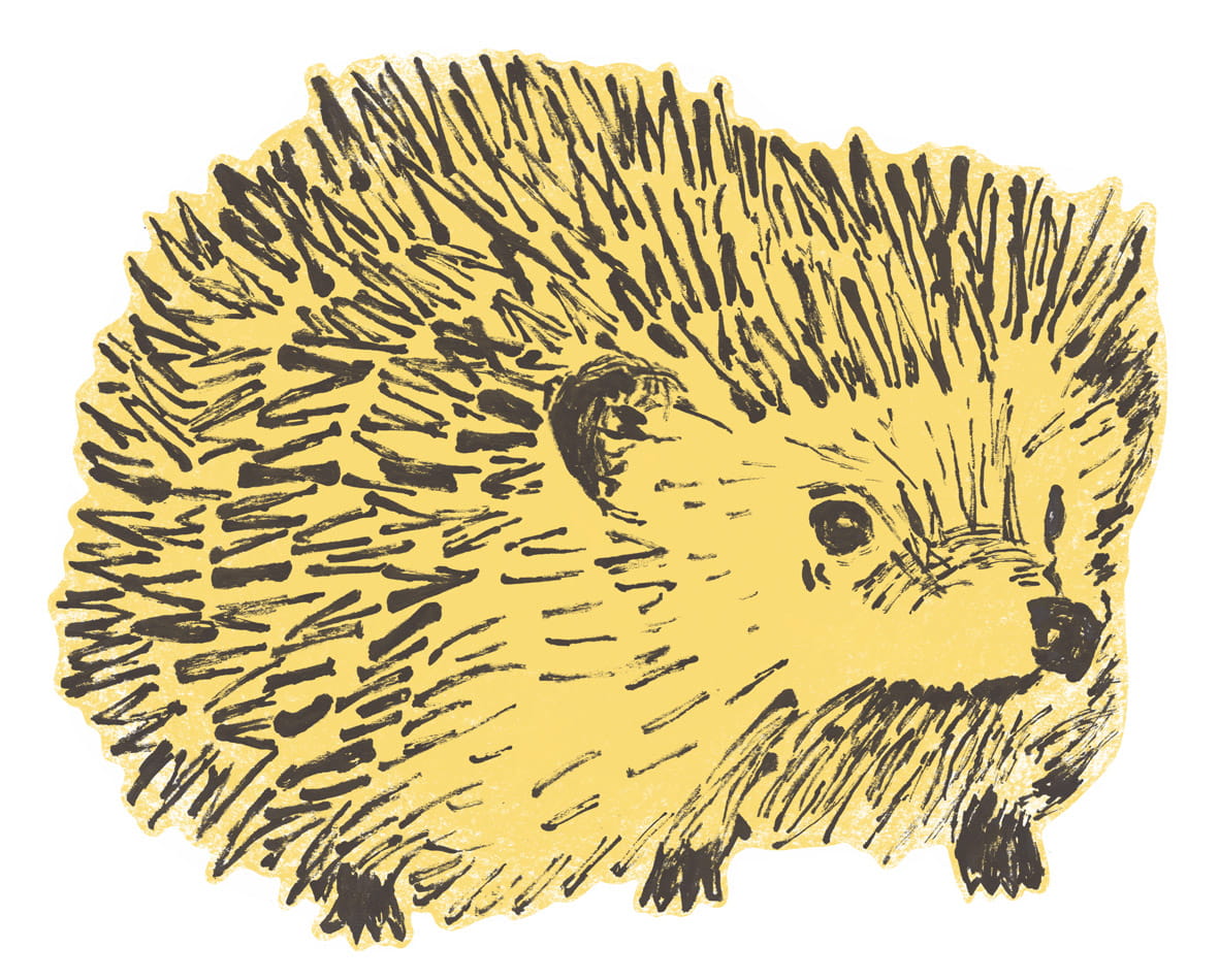 Wandsticker Hedgehog - Yellow