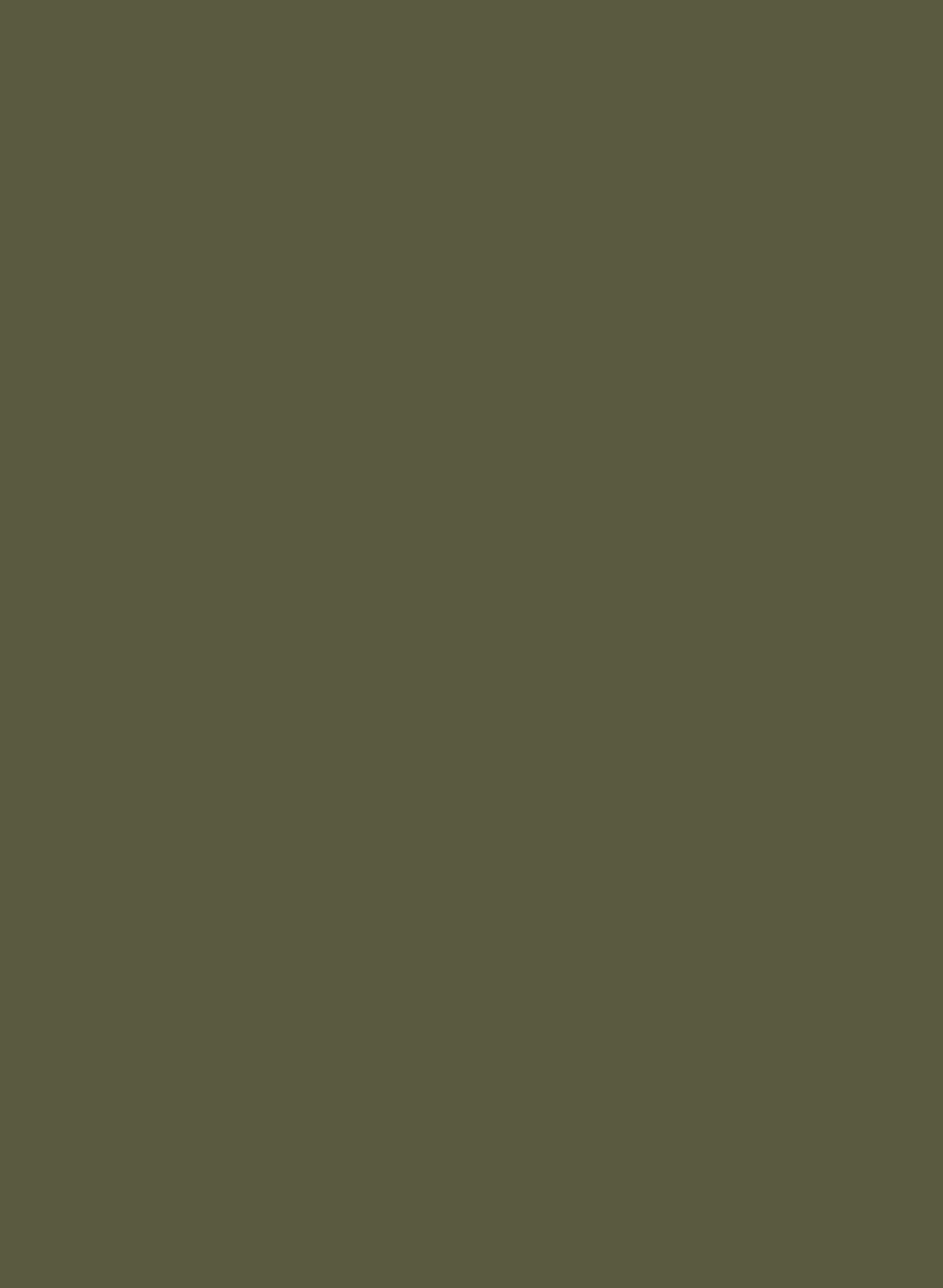 Bronze 283 ASP